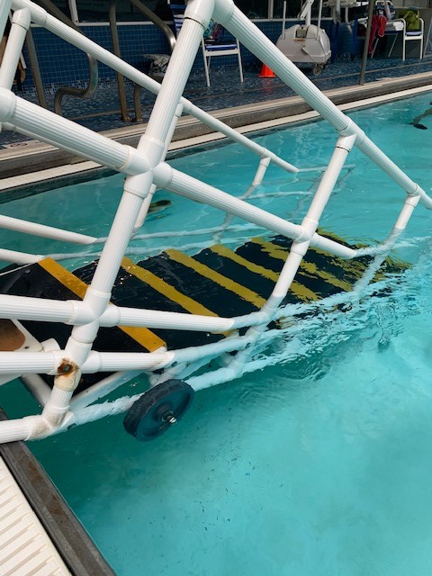 Aquatrek steps with Non-Skid Plates